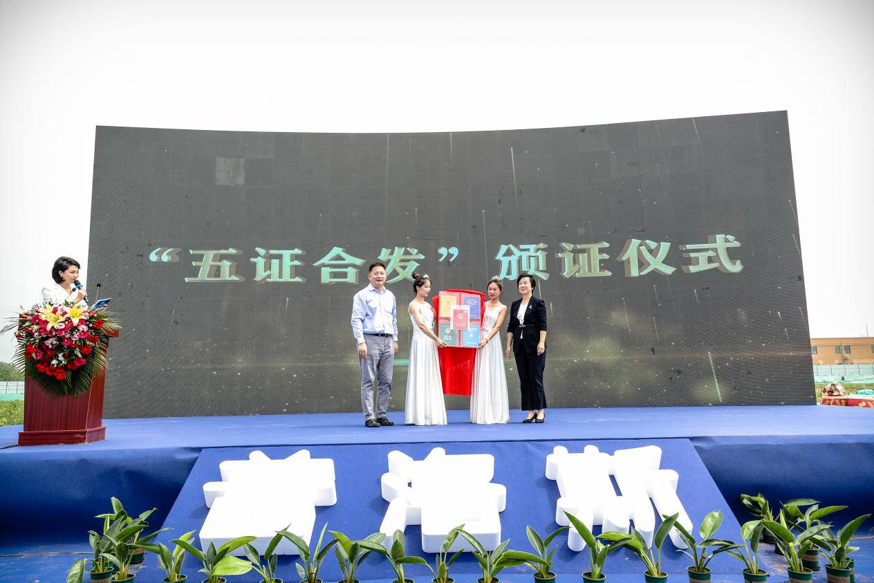 京津冀协同发展十周年丨营商环境向优进阶