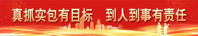 税惠赋能 河北高质量发展新动能活力澎湃