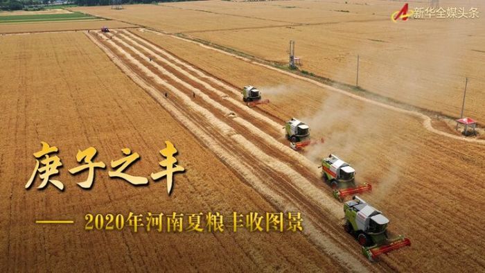 2024中国经济半年报丨全国夏粮获得丰收 农业生产总体平稳