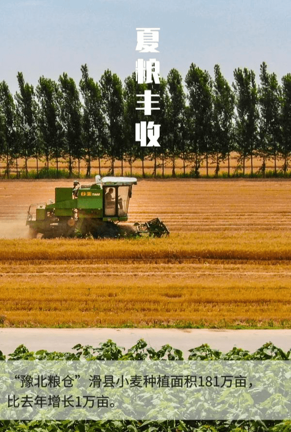 2024中国经济半年报丨全国夏粮获得丰收 农业生产总体平稳