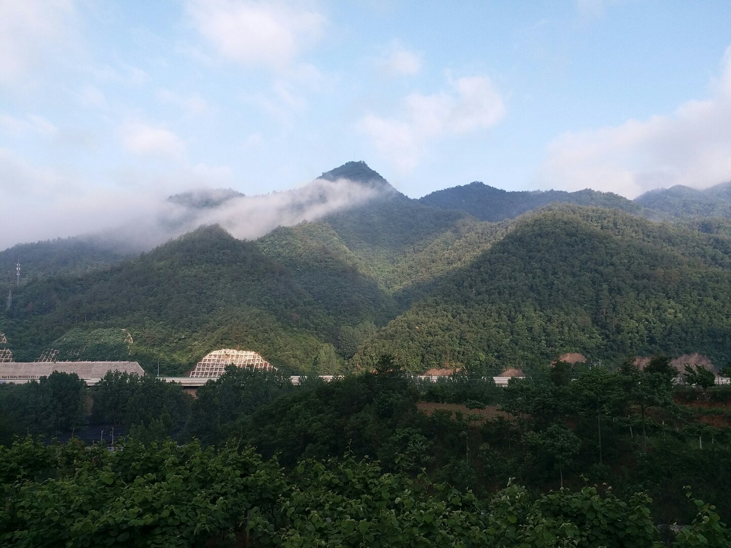 河南南阳西峡：“点绿成金”开启致富路