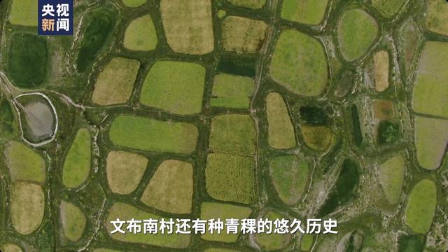 510.2米！纳木错科考创我国湖泊钻探最深纪录