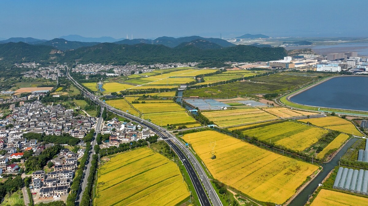 稻花香里说丰年｜吉林大地“丰”景好 金秋时节粮满仓