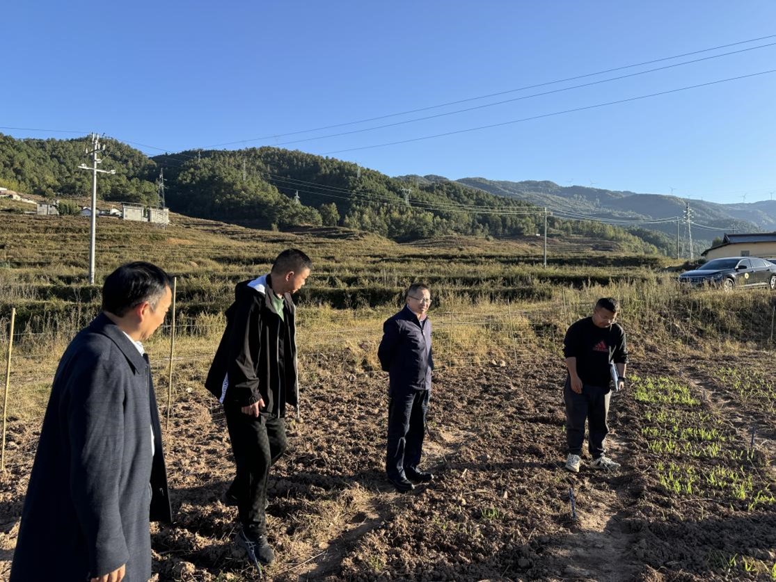 驻村帮扶调研丨一支不可或缺的力量