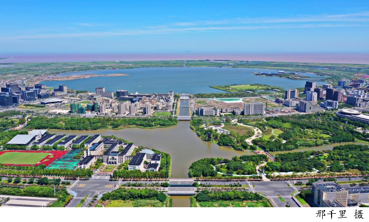 经济光明论丨“韧性发力 质效双升” 上半年我国对外经济领域交出亮眼答卷