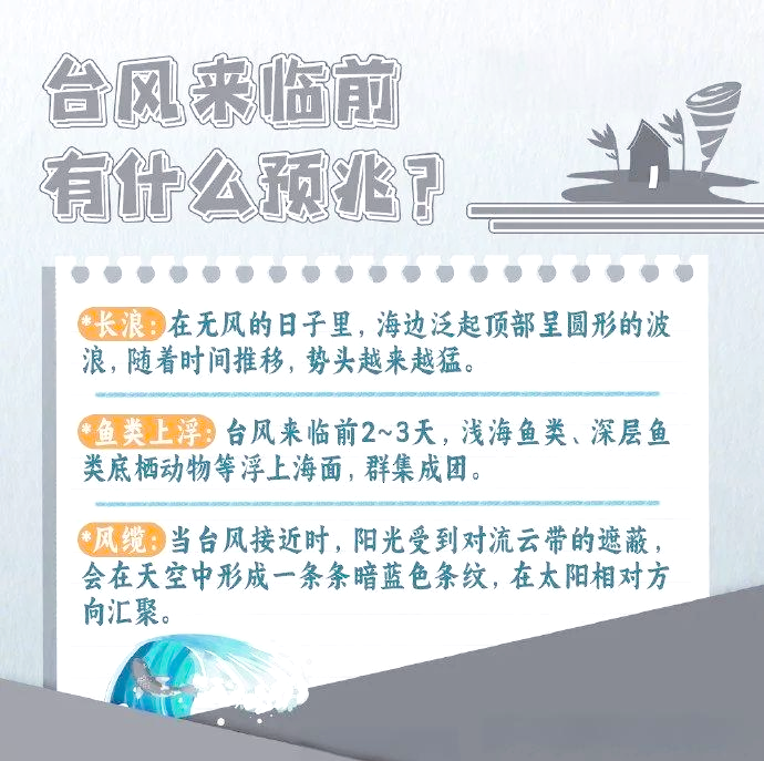 台风来了,应该如何应对?